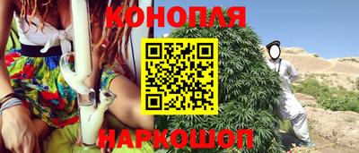 прущие грибы Абакан