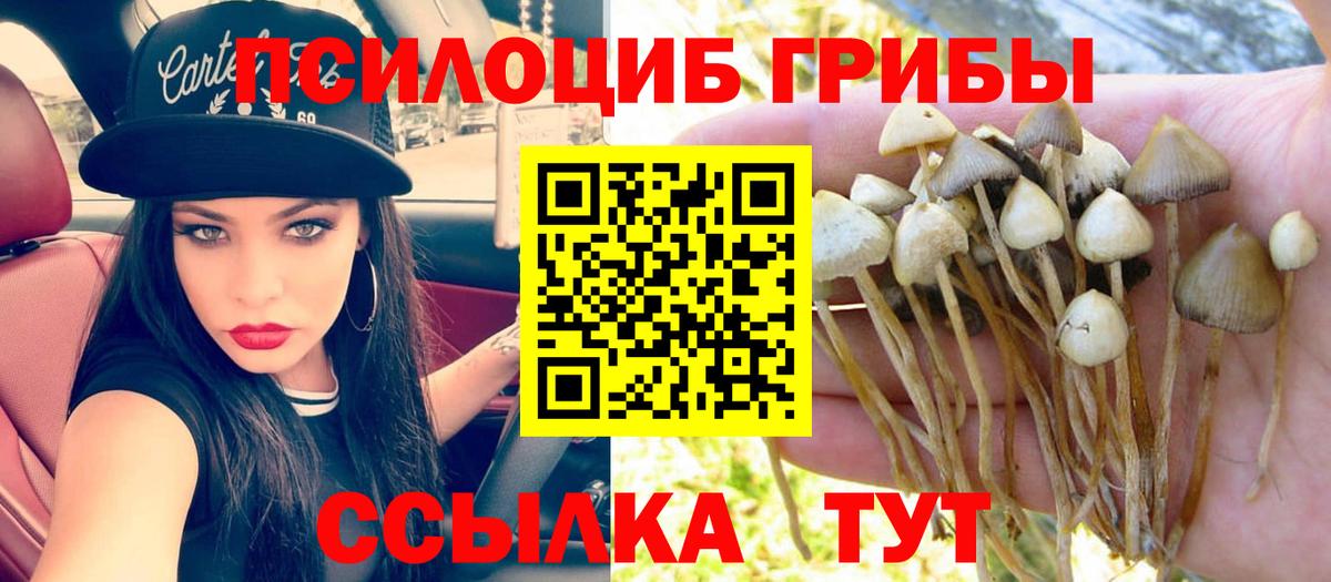 Галлюциногенные грибы Psilocybine cubensis  Вход с VPN  Югорск 