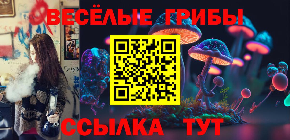 Псилоцибиновые грибы GOLDEN TEACHER Югорск