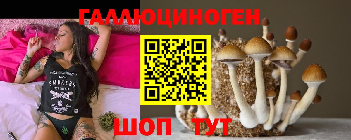 Галлюциногенные грибы MAGIC MUSHROOMS  Югорск 